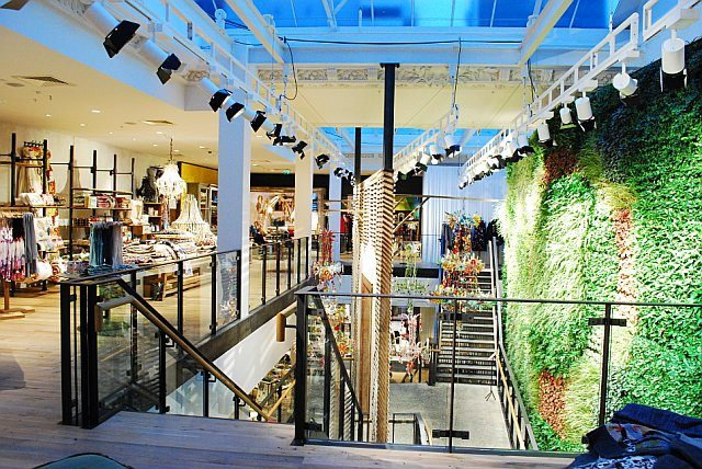 Anthropologie — photo 5