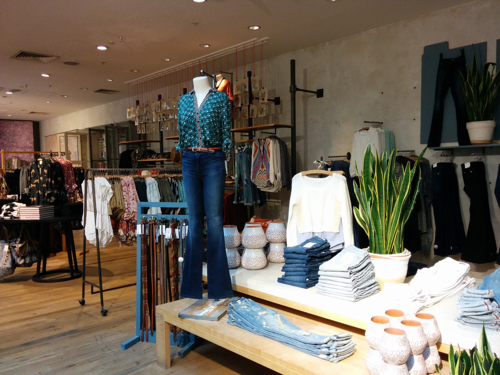Anthropologie — photo 7